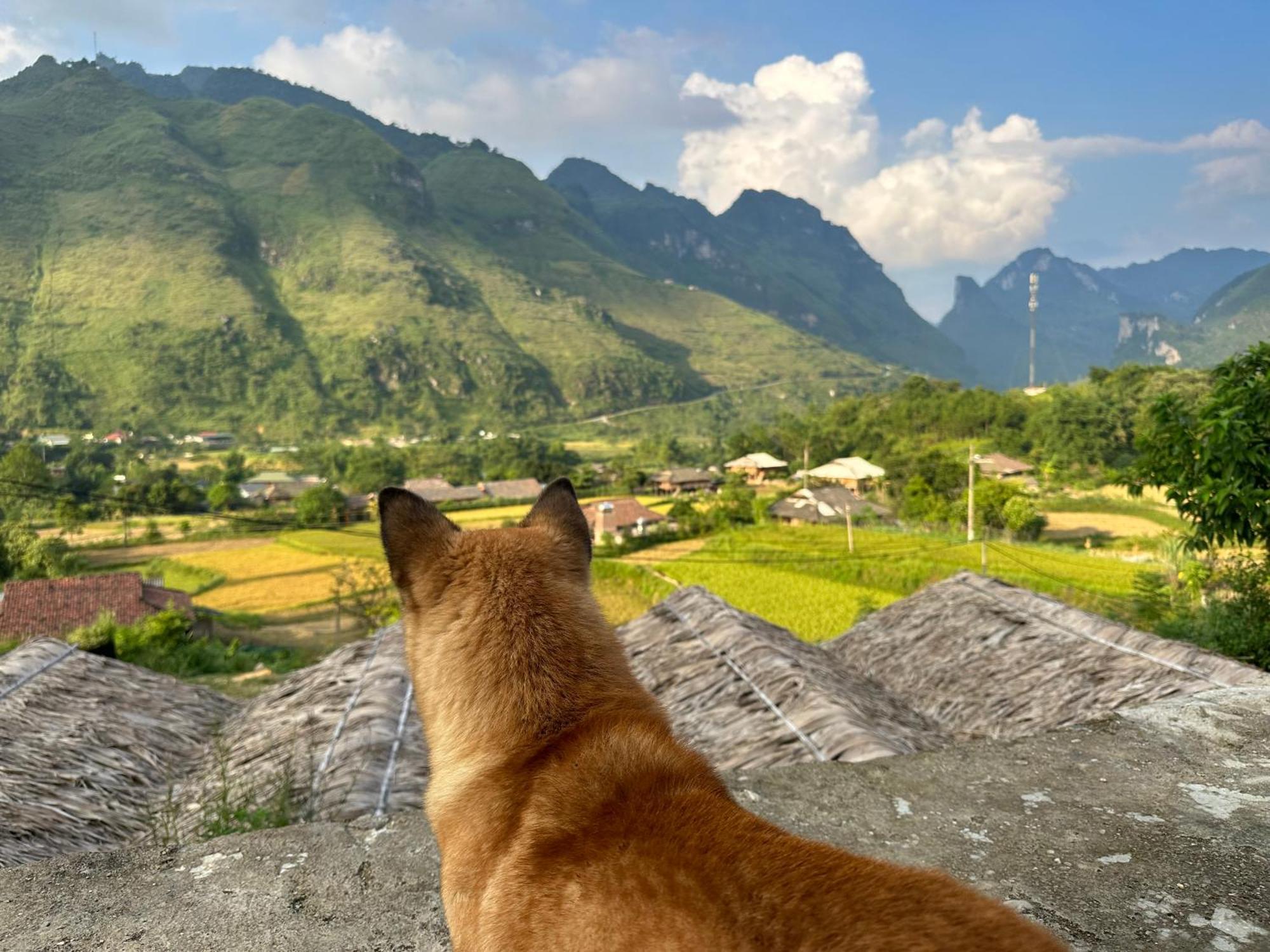 Du Gia Cozy Homestay & Tours Làng Cac Buitenkant foto