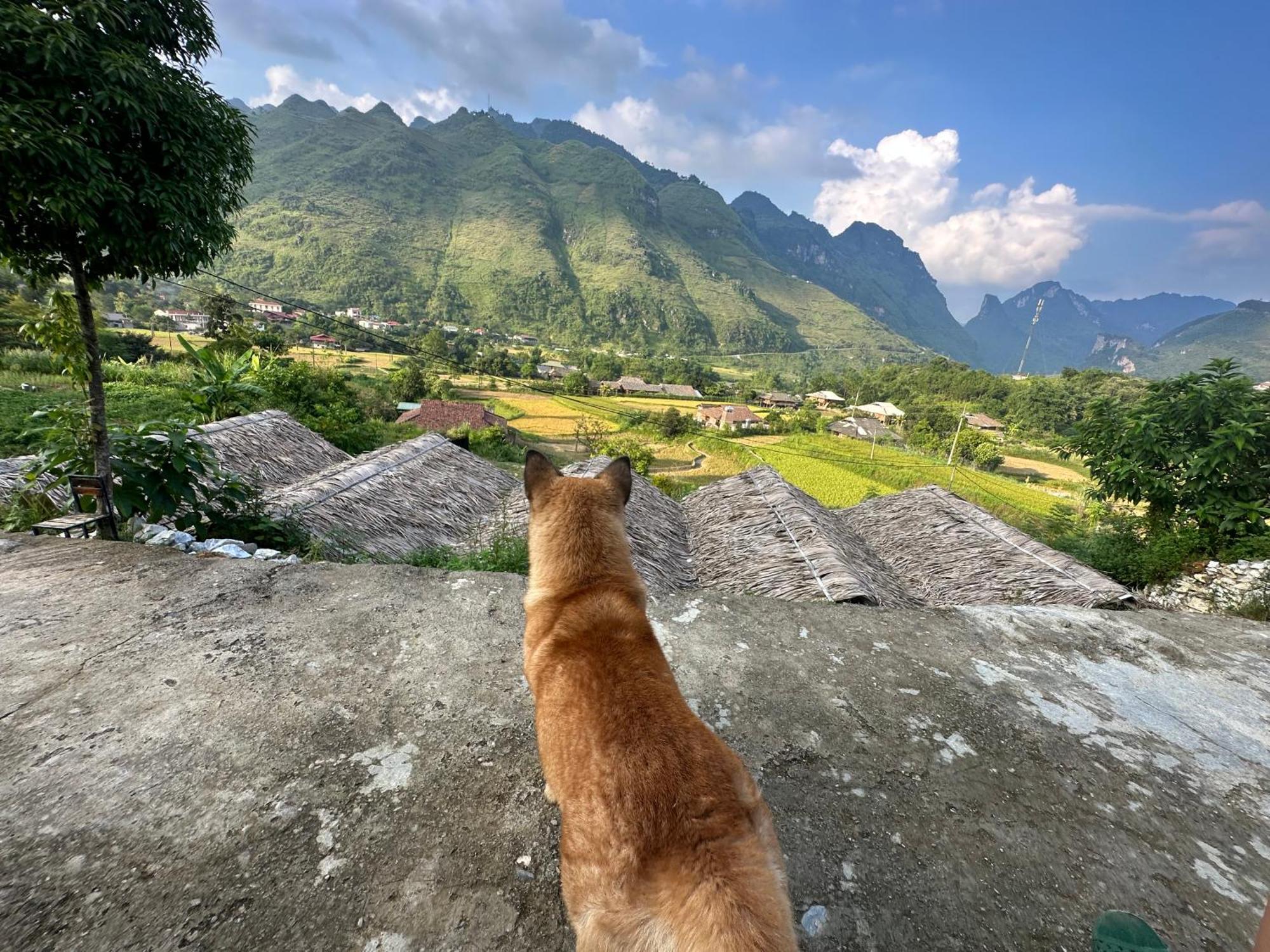 Du Gia Cozy Homestay & Tours Làng Cac Buitenkant foto